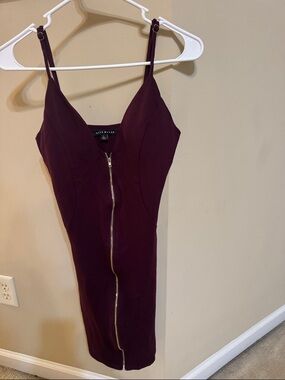 Haute Monde Burgundy Spaghetti Strap Bodycon Dress with Gold Zip